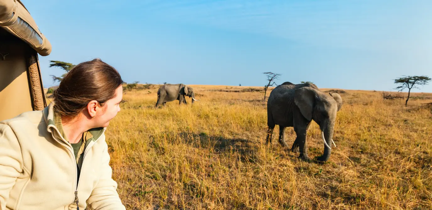 Parque Nacional Kruger Àfrica do Sul