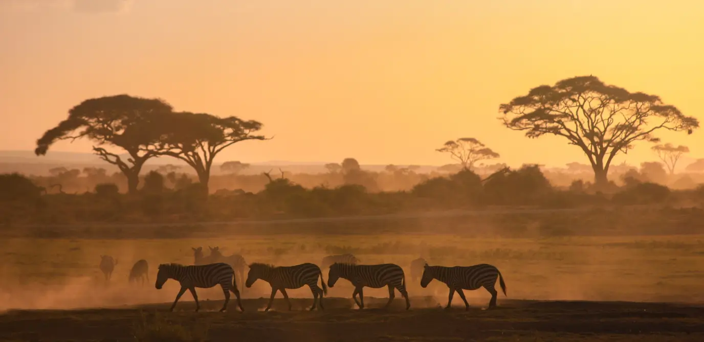 Viagem de experiência pela Àfrica do Sul