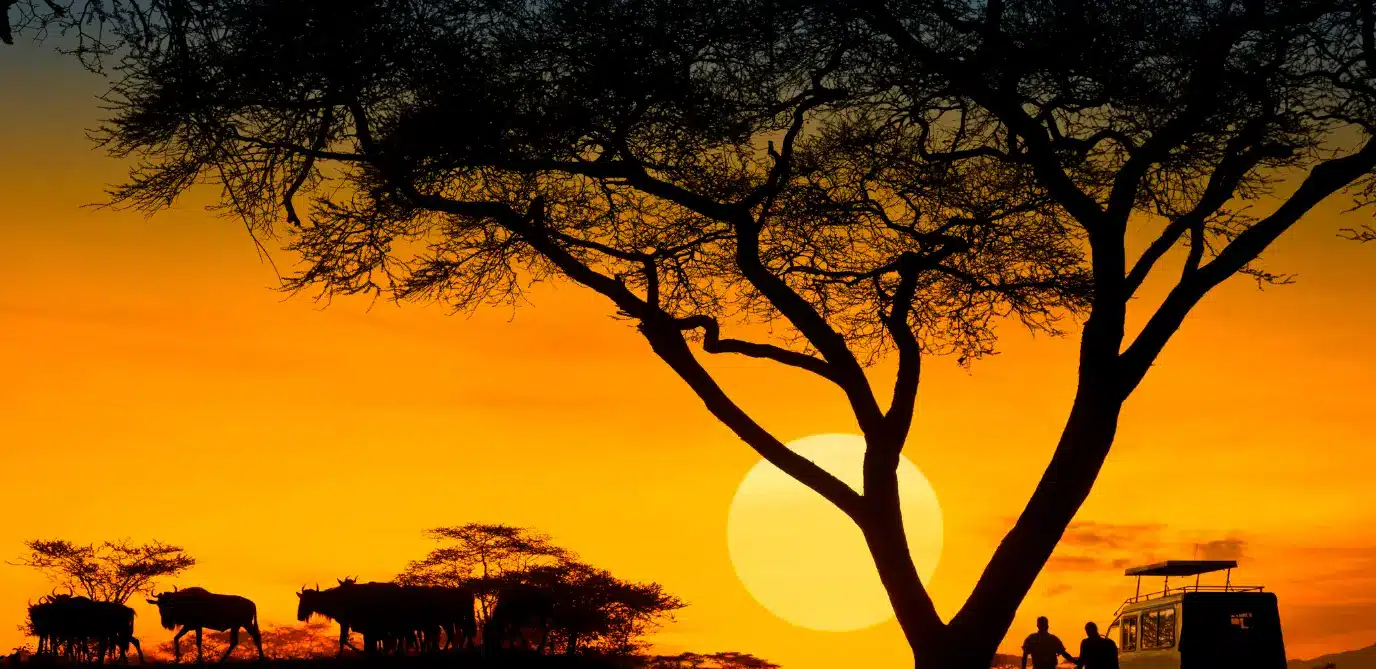 Viagem para Àfrica do Sul