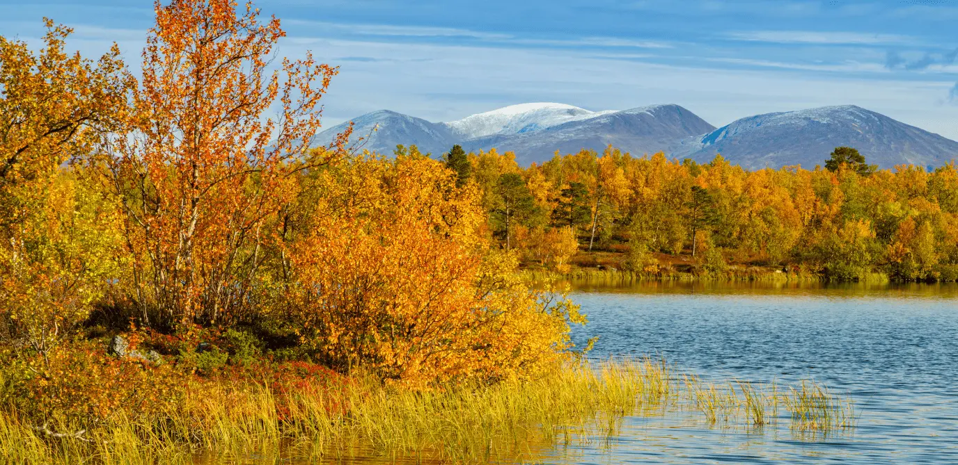 Parque Nacional Abisko