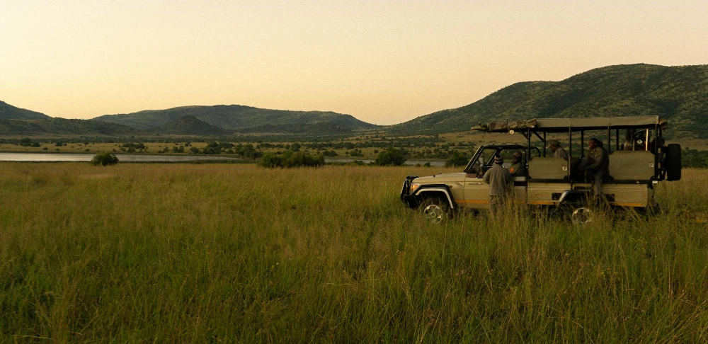 Aventura com animais selvagens nos melhores safáris da África do Sul.