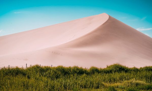 chandler-chen-333398-unsplash